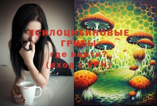 МДПВ Медногорск