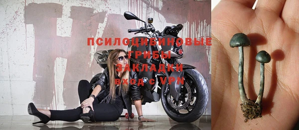 кокс Медвежьегорск