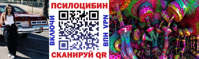 hydra зеркало  Циолковский  Псилоцибиновые грибы Psilocybine cubensis 